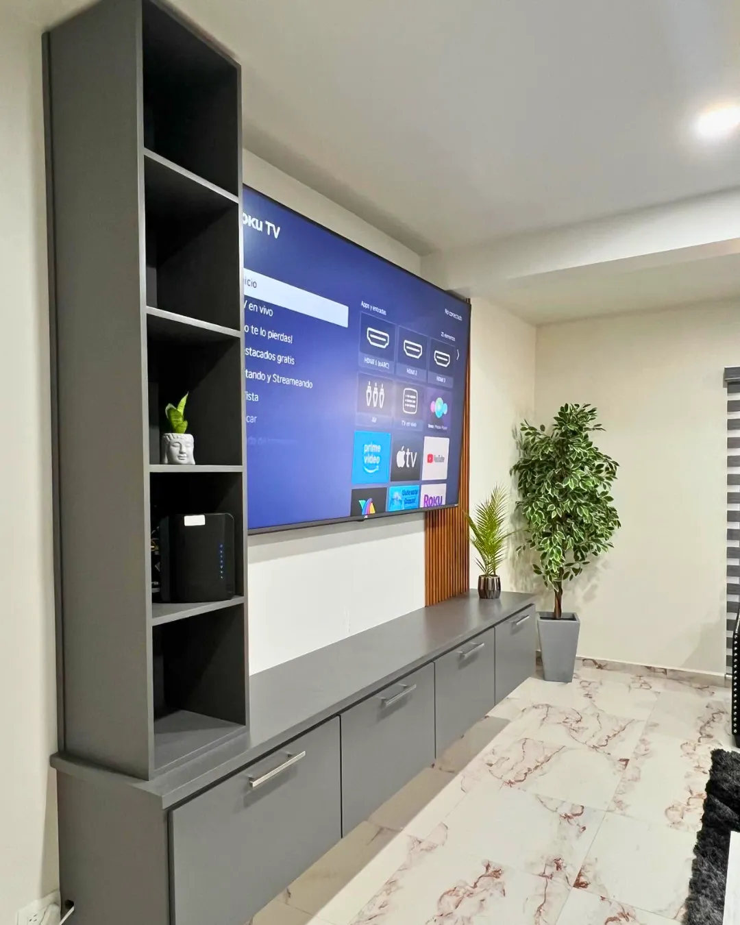TV